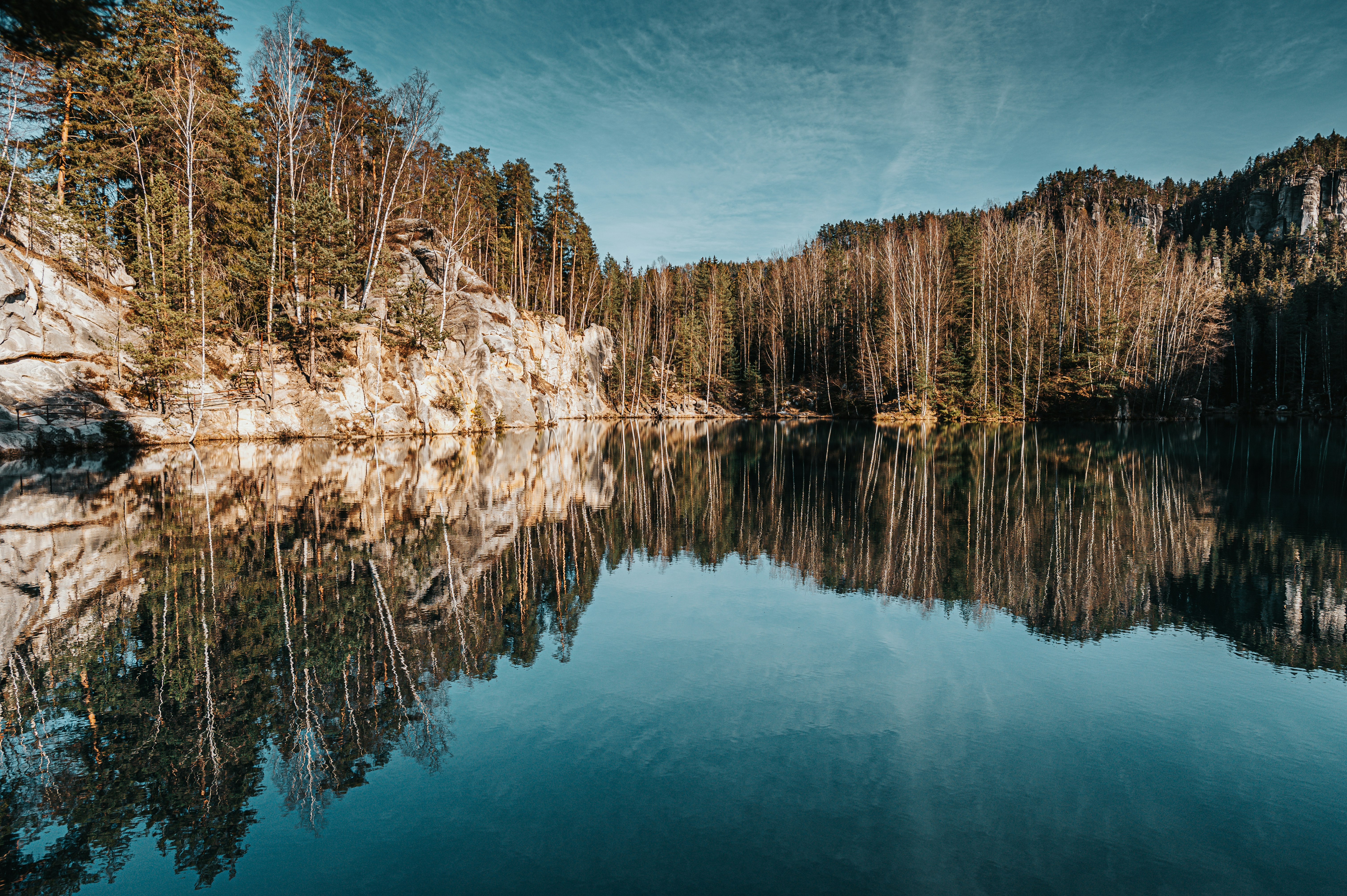 green trees beside body of water during daytime